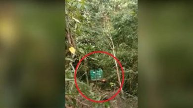 Photo of Truk Masuk Jurang di Madina, Sopir Terjepit 6 Jam