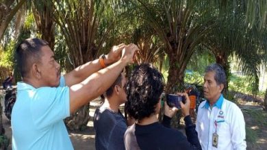 Photo of Ombudsman Temukan Ratusan Ton Pupuk Bersubsidi Tertimbun Dalam Gudang di Sergai