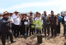 Photo of Peringatan Hari Lingkungan Hidup Sedunia, Forkopimda Karo dan Provsu Tanam Pohon Diatas Kawasan Danau Toba Tongging