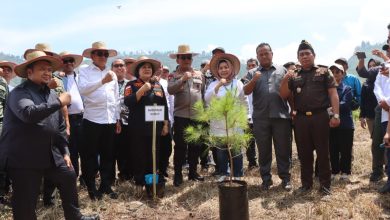 Photo of Peringatan Hari Lingkungan Hidup Sedunia, Forkopimda Karo dan Provsu Tanam Pohon Diatas Kawasan Danau Toba Tongging