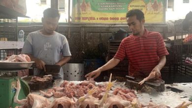 Photo of Capai Harga Rp 42 Ribu /Kg, Harga Daging Ayam Terus Naik di Medan