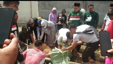 Photo of Idul Adha 1444 H, PKB Kota Medan Sembelih 5 Ekor Hewan Kurban