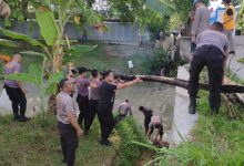 Photo of Polresta Deli Serdang Bersihkan Sampah di Pinggiran Sungai Malinda