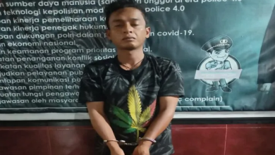 Photo of Polsek Panyabungan Tangkap Pelaku Pembobol Rumah Anggota KPU