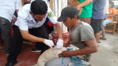 Photo of Antisipasi Penyakit Rabies, Pemkot Medan Lakukan Vaksinasi Hewan Peliharaan