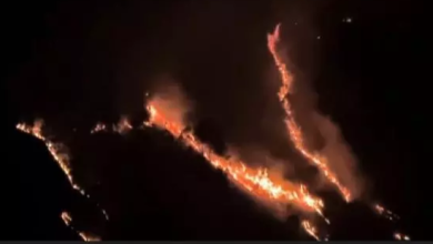 Photo of Kebakaran Hebat Landa Kawasan Hutan di Perbukitan Tongging Sumut