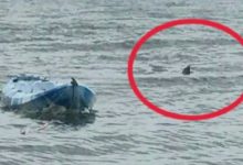 Photo of Sempat Berenang Sejauh 157 Km, Tiga Nelayan Pemalang, Jateng Berhasil Dievakuasi Tim SAR