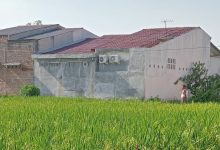 Photo of Usir Burung di Sawah Gunakan Petasan, Warga Lubuk Pakam Berang