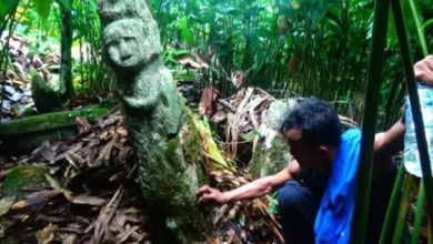Photo of Penemuan Batu Bersejarah Diduga Peninggalan Nenek Moyang Ditemukan di Lahan Warga