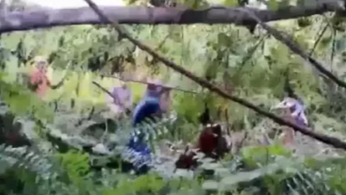 Photo of Saling Tombak di Nias Utara Berujung 1 Tewas dan 3 Luka Bacok