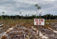 Photo of PKS: Food Estate Jokowi Senilai Rp108 Triliun, Proyek Gagal