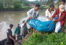 Photo of Tiga Hari Dicari, Masyarakat Desa Gelam Sei. Sarimah Temukan Mayat Hanyut di Sungai Padang