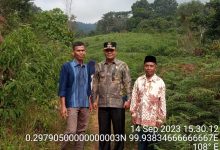 Photo of Enam Kelompok Tani di Jorong Purnama Cubadak Barat Adakan Musyawarah Bahas Rencana Pembuatan Sentra Sayuran