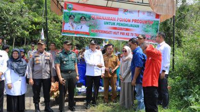 Photo of Wabup Pasaman Minta Kegiatan PMI Diorientasikan Hanya untuk Tujuan PMA
