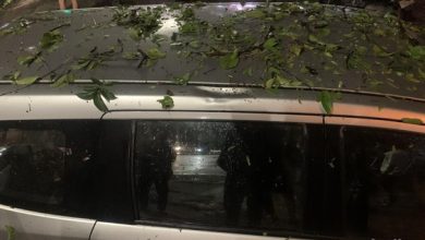 Photo of 2 Mobil Penyok Tertimpa Pohon Tumbang di Medan, Pemilik Histeris