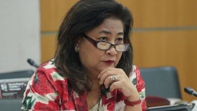 Photo of Dipecat PDIP karena Main Game Online, Cinta Mega Nyaleg Lewat PAN