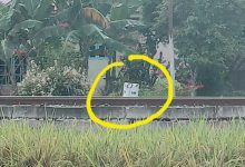 Photo of Bocah Kelas III SD Tewas Tertabrak Kereta Api Dekat Stasiun Rambutan Tebingtinggi