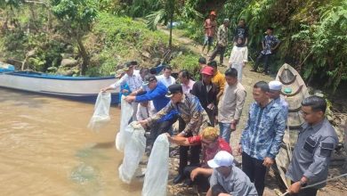 Photo of Wakil Bupati Pasaman Hadiri Pelepasan Hajat Nagari Binjai di Lubuk Pandan