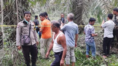 Photo of Mayat Laki-laki Tanpa Identitas Ditemukan Warga di Desa Sangkilon, Lubuk Barumun