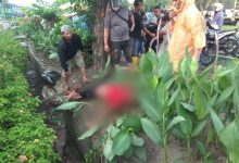 Photo of Pengendara Vario Putih Tewas Tabrak Pohon Pinggir Jalan Menuju Bandara Kualanamu