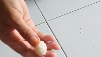 Photo of Soal Nasi Membal di Binjai, Polisi: Hasil Uji Lab Keluar Lusa