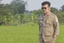 Photo of SYL Menghilang, Jokowi Tunjuk Harvick Hasnul Qolbi Jadi Mentan Ad Interim