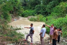 Photo of Tanggul Sungai Lae Nuaha di Dairi Jebol, Ratusan Hektare Lahan Sawah Terancam Gagal Panen