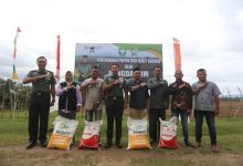 Photo of Pangdam IM Buka Lahan Baru I’M Jagong dan Serahkan Bibit Jagung untuk Warga Siron Blang