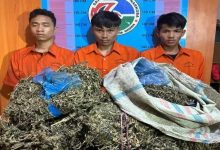 Photo of Polres Madina Kembali Amankan Kurir Ganja Antar Provinsi, Barang Bukti 1 Goni Ganja