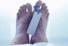 Photo of Maling Motor Tewas Diamuk Massa di Deliserdang