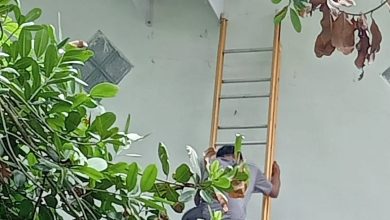Photo of Gudang Arsip Disdik Deli Serdang Dipasangi AC Tanpa Kwh Meter