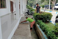 Photo of Tukang Bangunan Selesaikan Pekerjaan ASN dan Honorer Perbaiki Lantai Kantor Bupati Deli Serdang