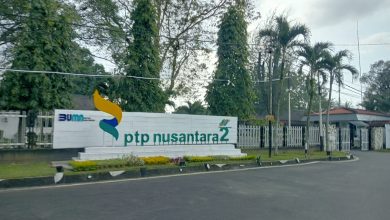 Photo of Resmi Gabungkan 13 Perusahaan, PTPN Tetapkan Komisaris dan Direksi Baru