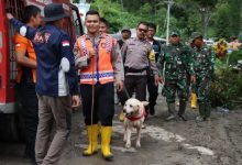 Photo of Polda Sumut Libatkan Anjing Pelacak Bantu Pencarian Korban di Humbahas