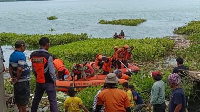 Photo of 11 Korban Banjir Bandang Humbahas Masih Hilang, Basarnas dan Tim SAR Perluas Area Pencarian