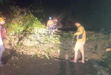 Photo of Masih Tertimbun Longsor, Jalur Pantai Barat Madina Belum Bisa Dilewati