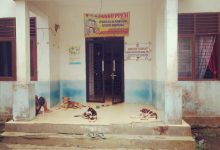 Photo of Parah, Kantor Desa Bandar Gunung Jarang Dibuka dan Ditunggui Anjing Warga