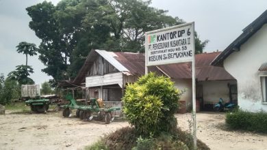 Photo of PTPN1 Regional 1 Kebun Sei Semayang Lakukan Antisipasi Mencegah Masuknya Penggarap ke Lahan HGU