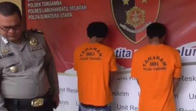 Photo of Aksinya Terekam CCTV, Kakak Beradik Spesialis Curanmor di Labusel Diringkus Polisi