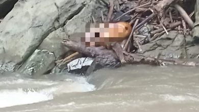 Photo of Hilang Dibawa Banjir, Firman Ginting Ditemukan di Sungai Namo Raya Lau Gunung Dairi