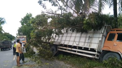 Photo of Sopir Mengantuk, Truk Masuk Parit di Pinang Lombang