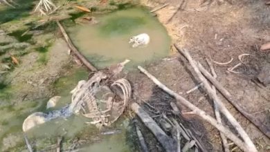 Photo of Kerangka Manusia dalam Goa di Tapanuli Tengah Teridentifikasi, Ini Identitasnya