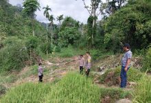 Photo of Seputar Pemberitaan Tambang Emas Ilegal di Dua Koto, Warga: Kita Malu Baca Berita yang Tak Jelas Narasumbernya