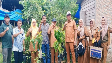 Photo of Sembilan Kelompok Tani di Madina Dapat Bantuan Bibit Buah