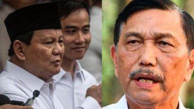 Photo of Usai Sarankan Prabowo Jangan Bawa Orang Toxic ke Kabinet, Luhut Tolak Tawaran Jadi Menteri