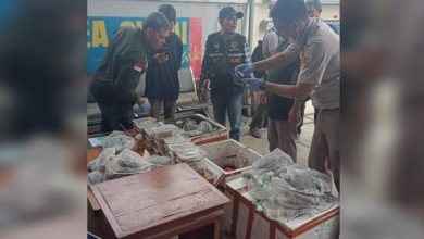 Photo of Bea Cukai Teluk Nibung Gagalkan Penyeludupan Reptil Dilindungi dari Asahan ke Malaysia