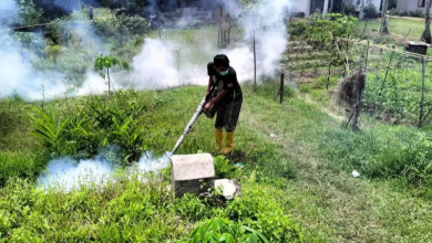 Photo of Masyarakat Langkat Dihantui Demam Berdarah Dengue