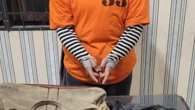 Photo of Terduga Pengedar, Perempuan 25 Tahun Diciduk Polisi, Ganja Seberat 19,91 Gram Disita