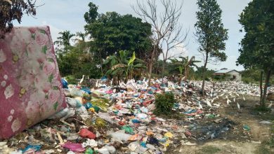 Photo of HGU Kebun Bandar Klippa Jadi TPA Liar, PTPN1 Somasi Pengelola, Minta Pemkab DS Tegas