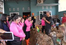 Photo of Bhayangkari Sumut Bergerak: Bantuan dan Kepedulian untuk Masyarakat Terdampak Banjir